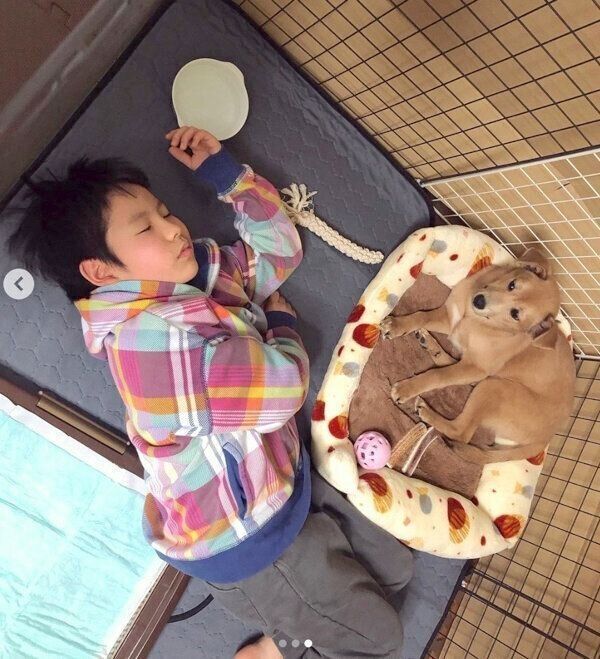 さくらちゃんと次男くん