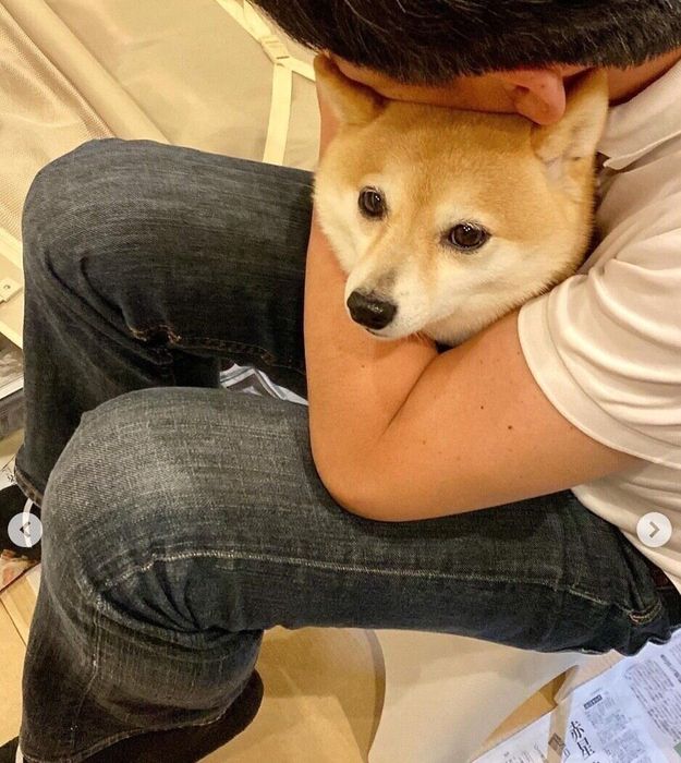 パパさんにギュッとしてもらうすずちゃん