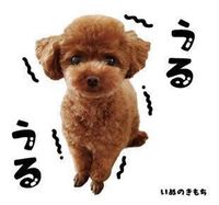 ももちゃんのスタンプ