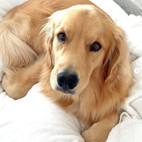 見つめるのあちゃん