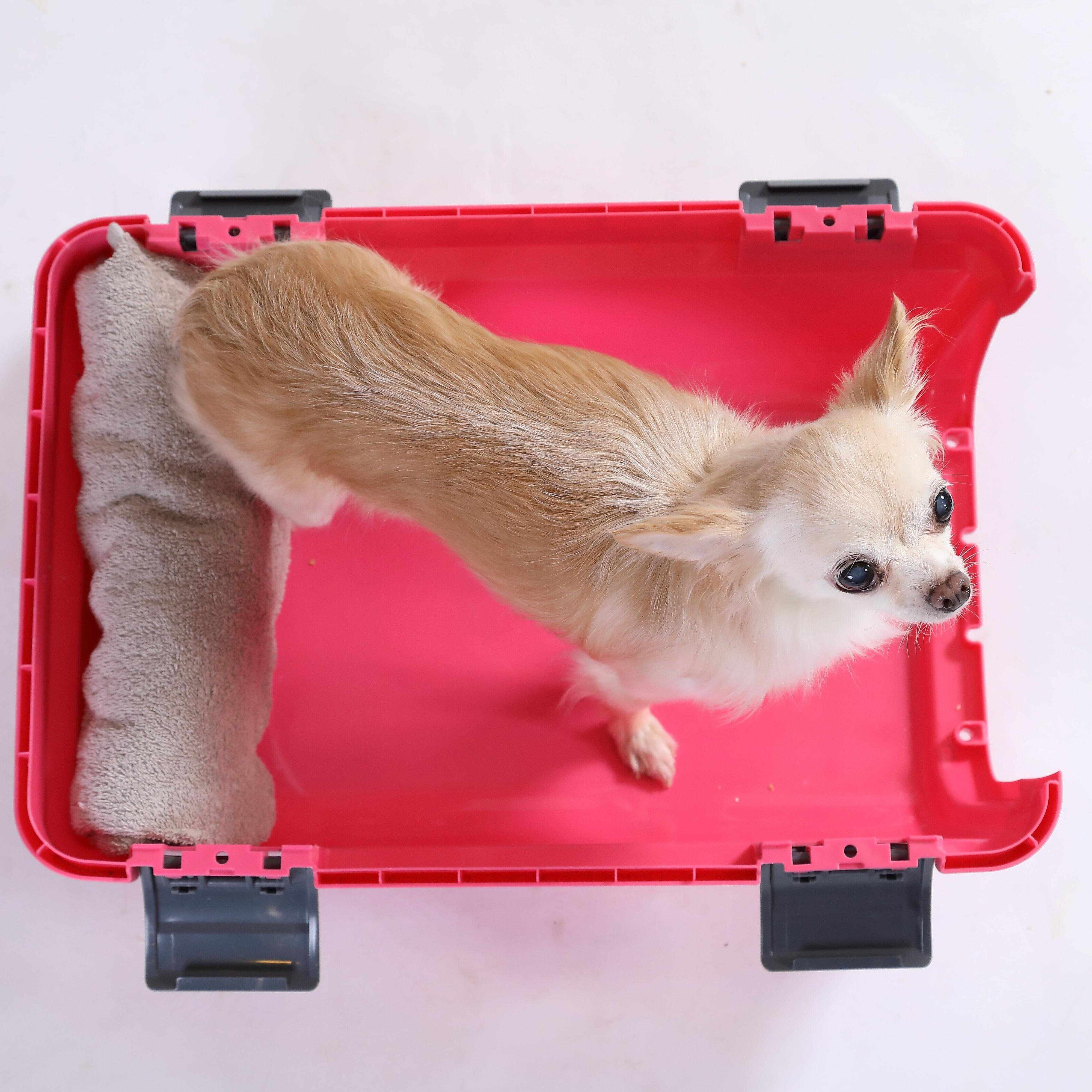 写真／尾﨑たまき