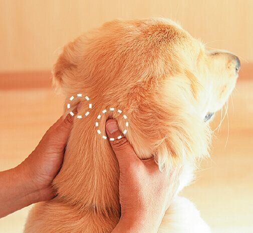 撮影／殿村忠博