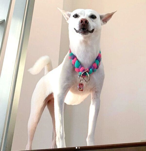 微笑むすずちゃん