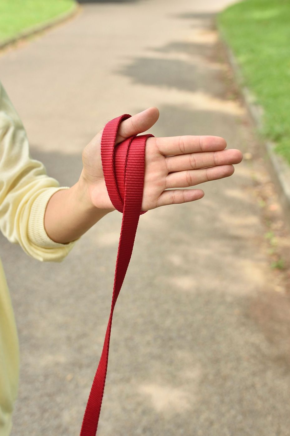 散歩中に愛犬が他の人にケガを そんな不幸が起こらないために絶対に覚えておきたい 正しいリード使い のコツ いぬのきもちweb Magazine