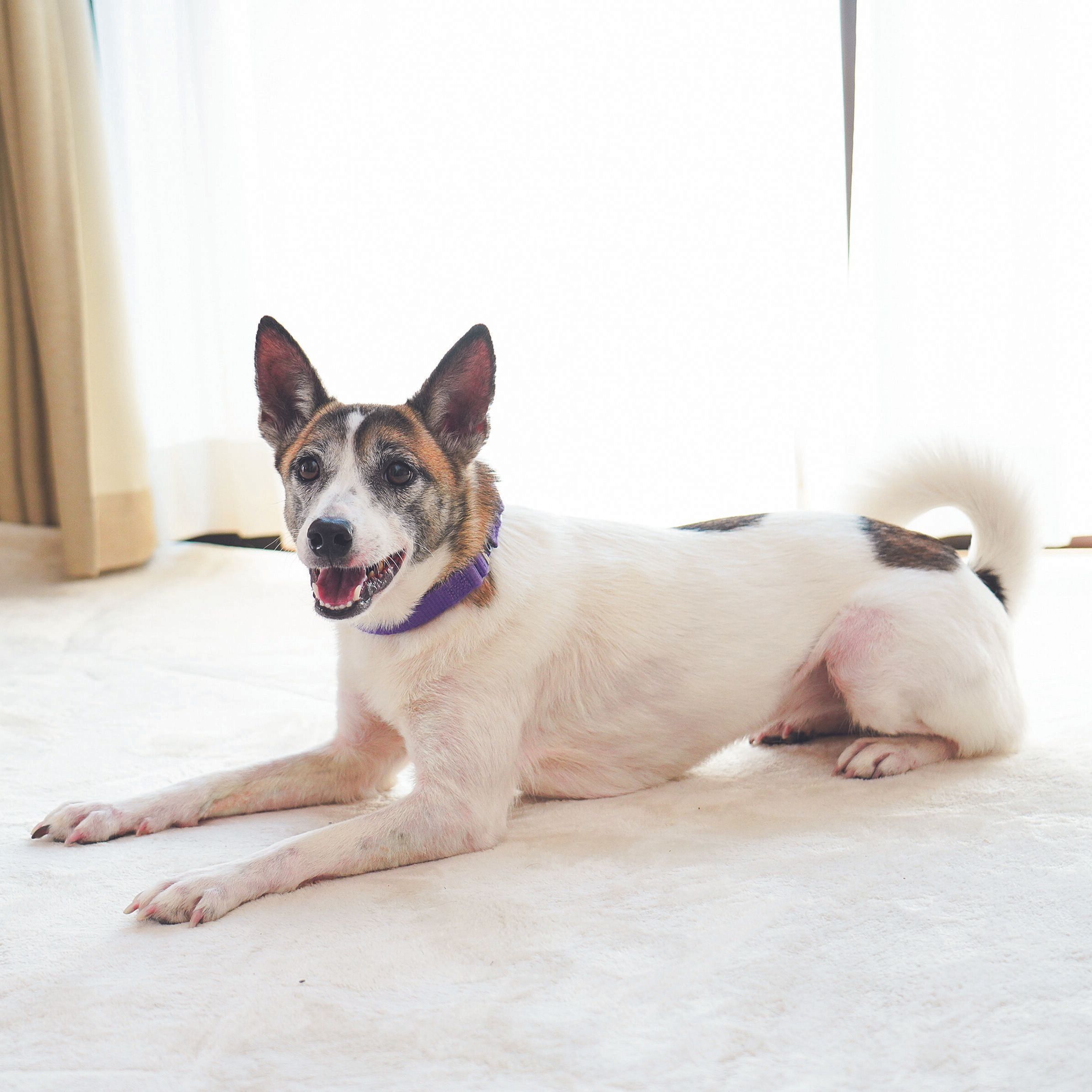 撮影／殿村忠博