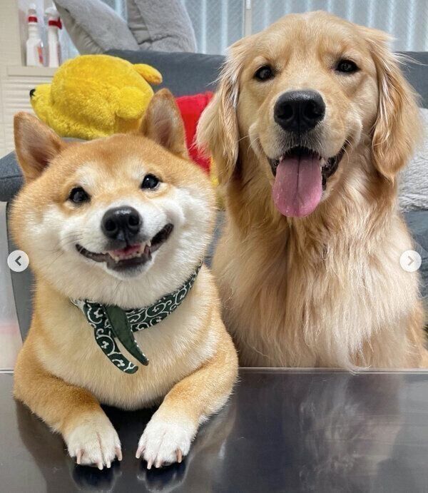 笑顔が可愛いうにくん、おからちゃん