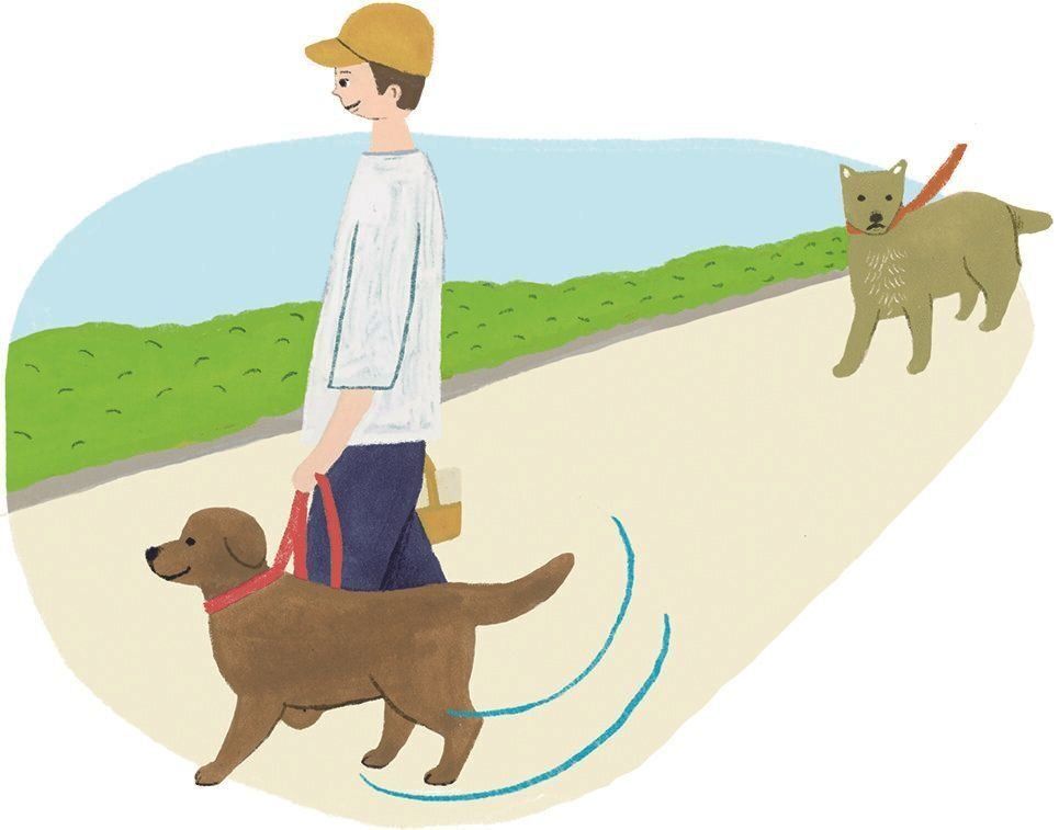 イラスト／macco