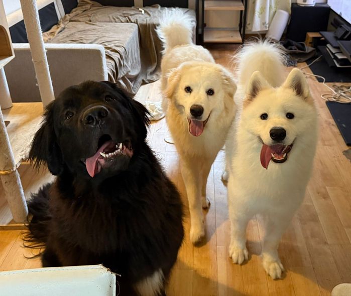 笑顔が可愛いうるるくん、お嬢ちゃん、ピノくん