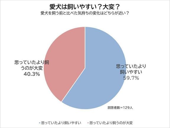 Q.マルチーズは飼いやすい?思っていたより飼うのが大変?