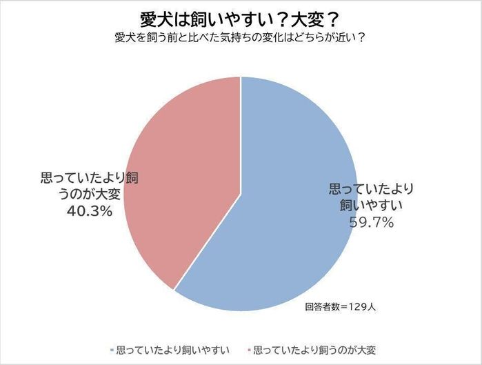 愛犬は飼いやすい?大変?