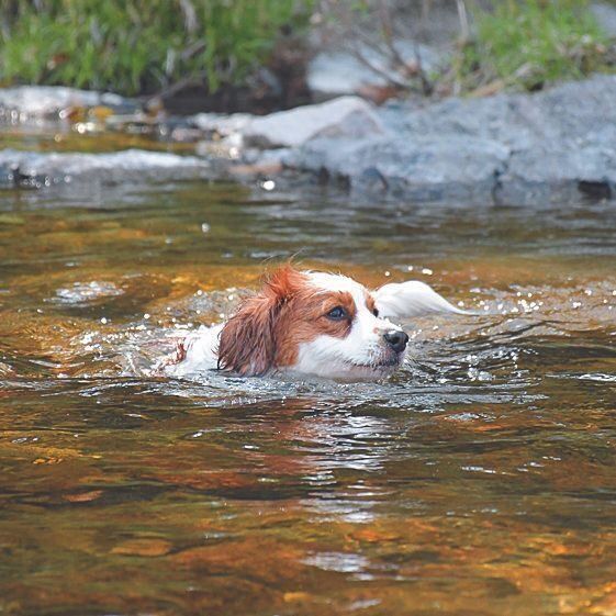 写真提供／O.E.さん