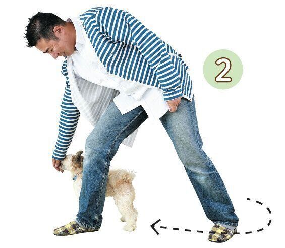 後ろから前へ誘導する