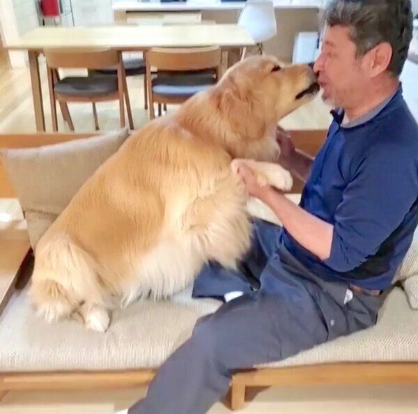 パパさんとじゃれるアランくん