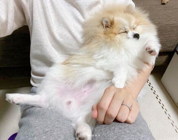 くつろぐちくわくん