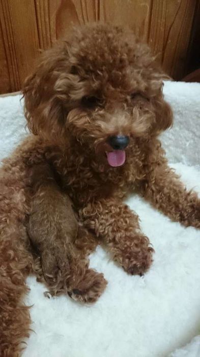 ママの母乳を沢山飲んでお腹パンパン