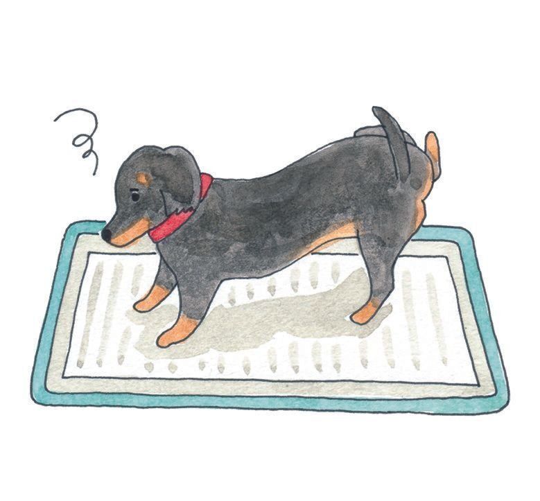 イラスト／今井夏子