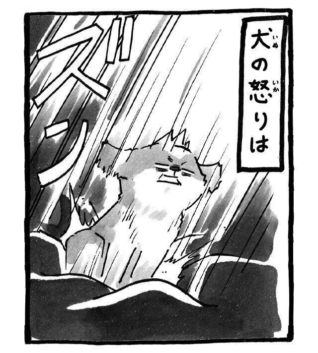 シーズー犬マンガてんぽshihtzu
