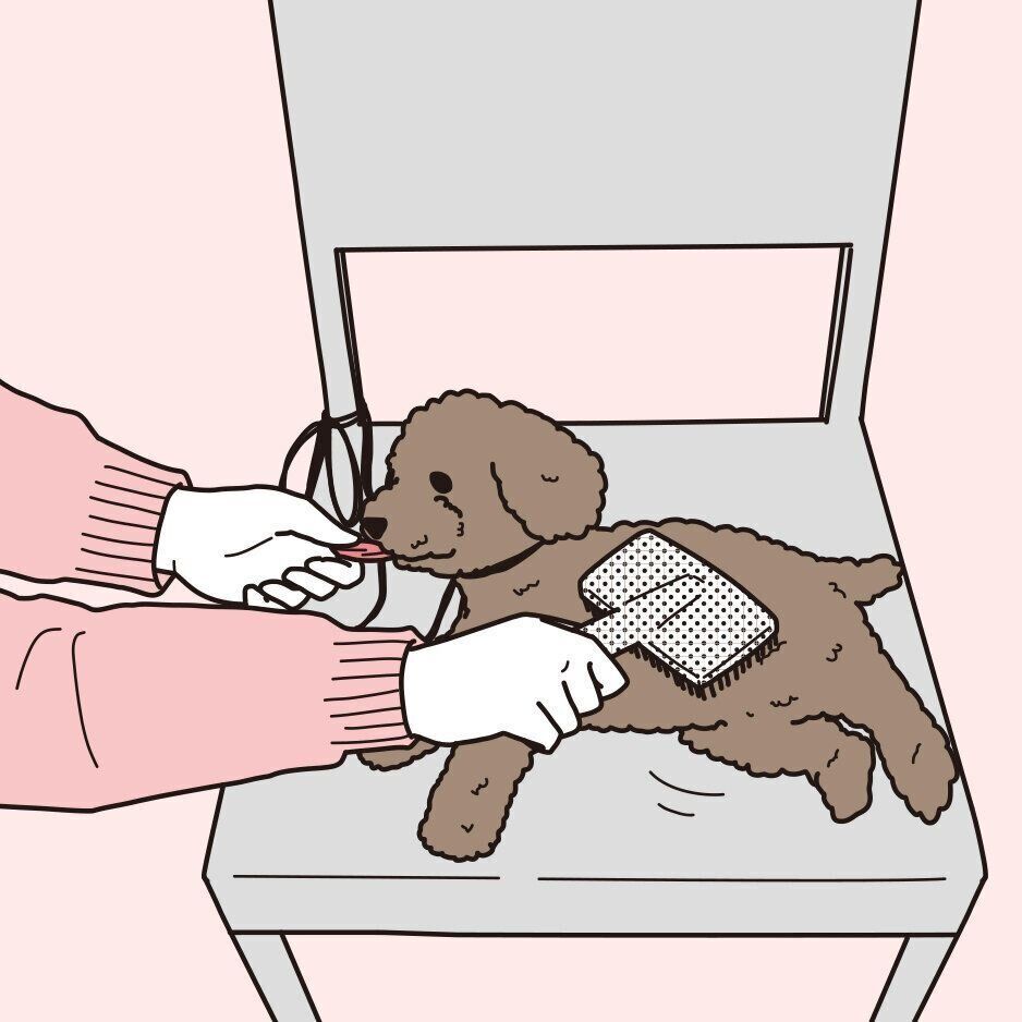 イラスト／二階堂ちはる