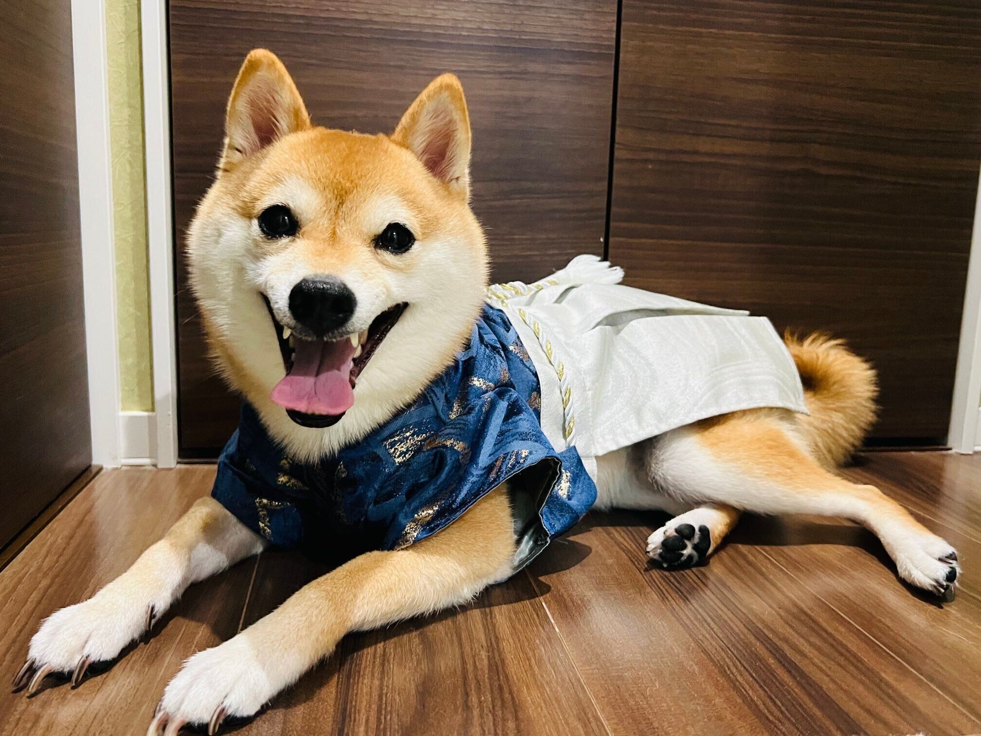 笑顔が可愛い陽くん