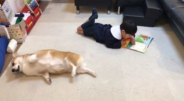 マイクの順番が回ってこないコーギー