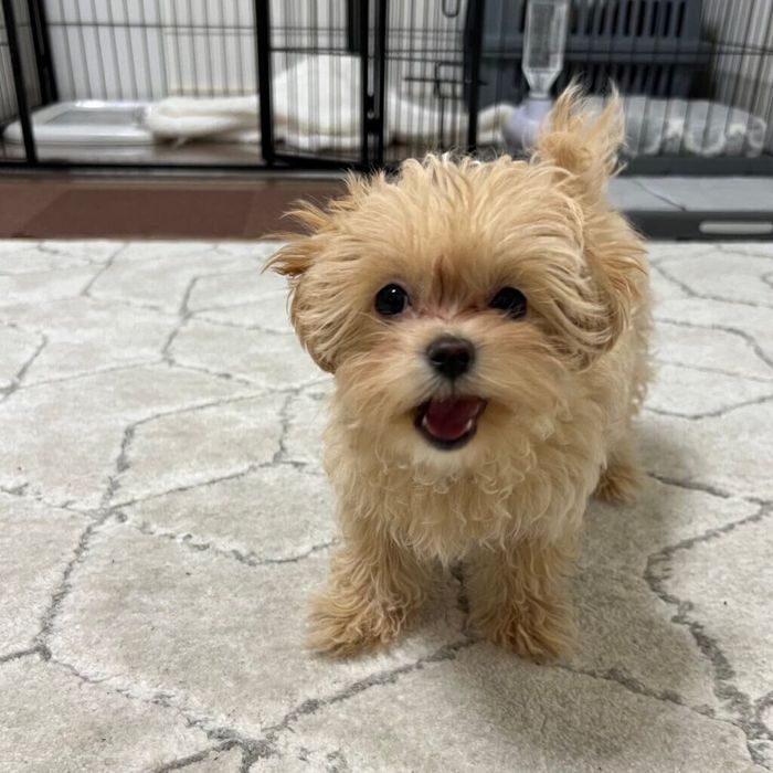 見つめるののちゃん