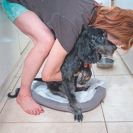 撮影／田尻光久