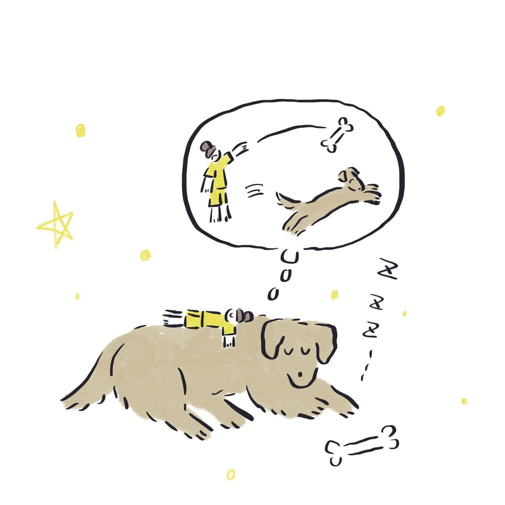 イラスト／鬼頭 祈