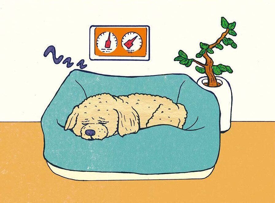 イラスト／泰間敬視