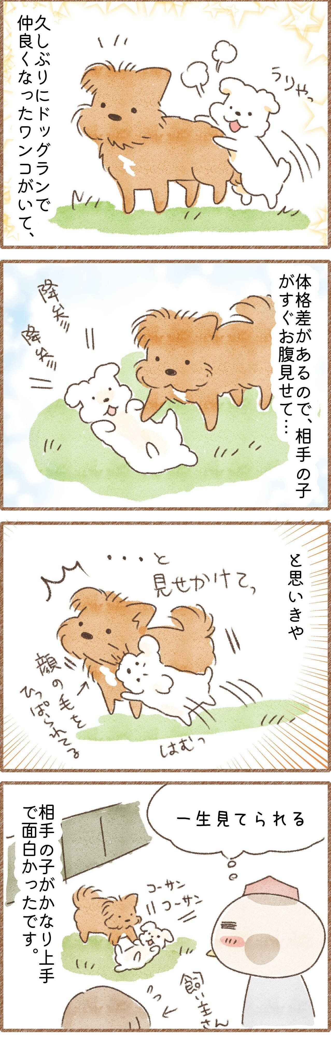 遊び上手なわんことワンプロした話