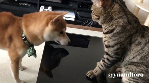 唖然とするゆうくん