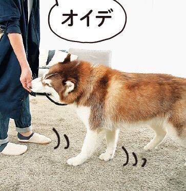 撮影／尾﨑たまき