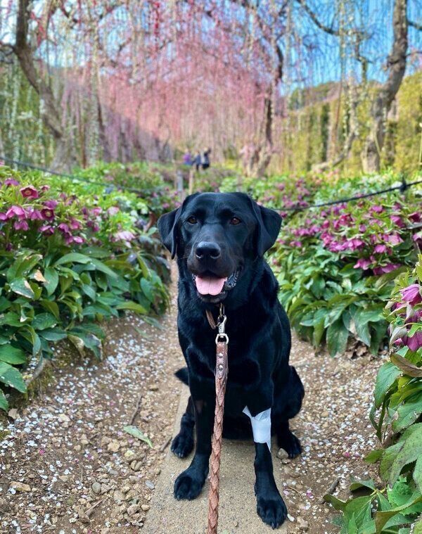 笑顔が可愛いエマちゃん