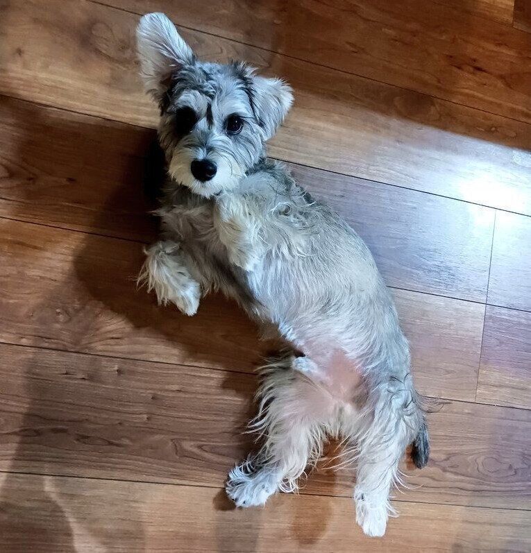 別の日のペレくん2