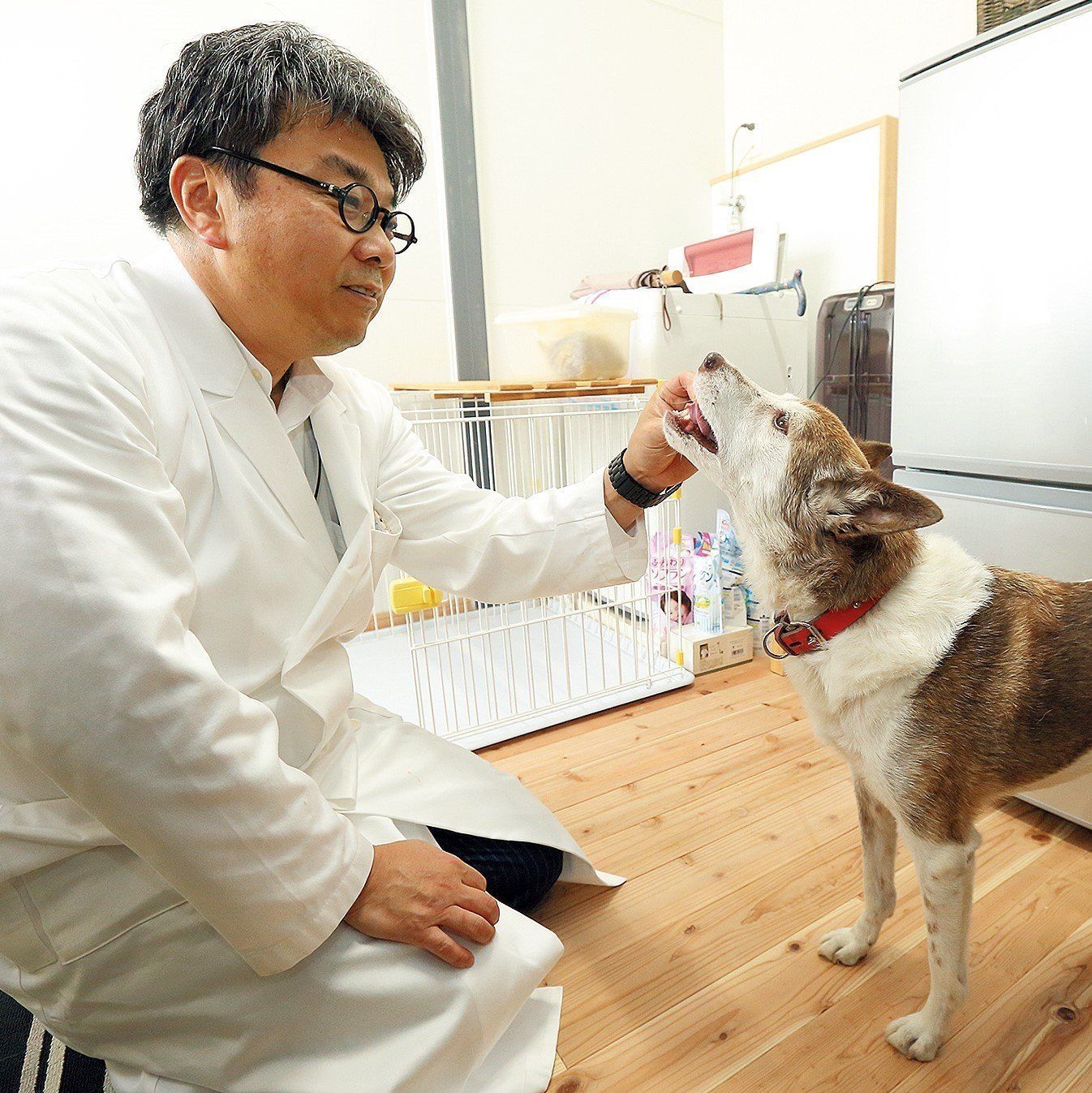 <span style="font-size:smaller;">撮影／尾﨑たまき</span>