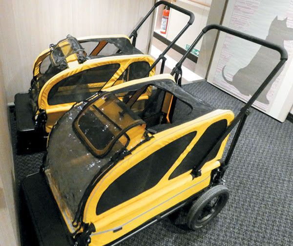 フェリーさんふらわあ提供