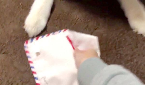 袋の中におやつを隠す飼い主さん