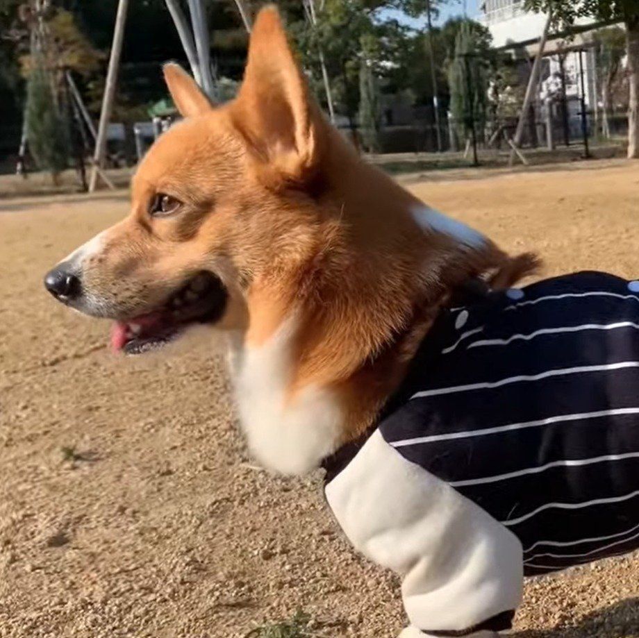 何かに気づいたコナン君