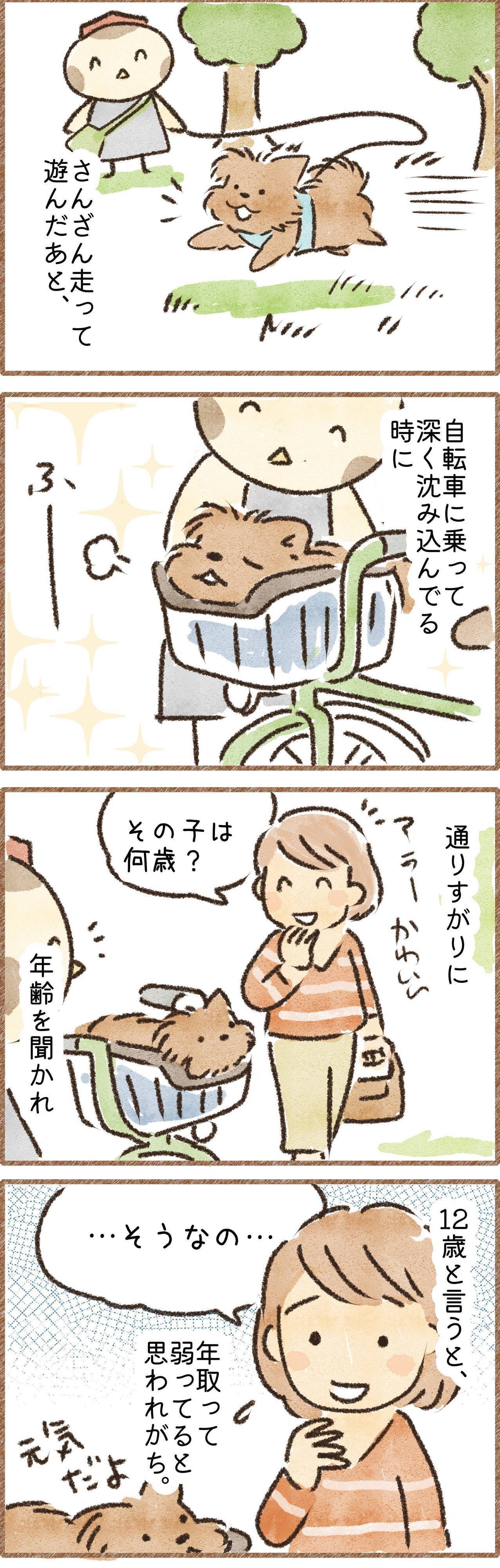 年齢を言うとかわいそうな顔される犬のマンガ