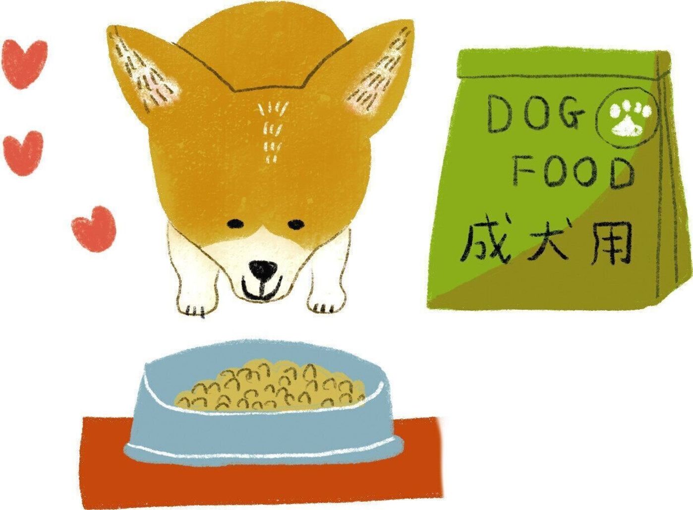 ソファから飛び降りただけでも折れる 若い犬でも注意すべき犬の骨折 いぬのきもちweb Magazine ソファから飛び降りただけでも折れる 若い犬でも注意すべき犬の骨折 いぬのきもちweb Magazine
