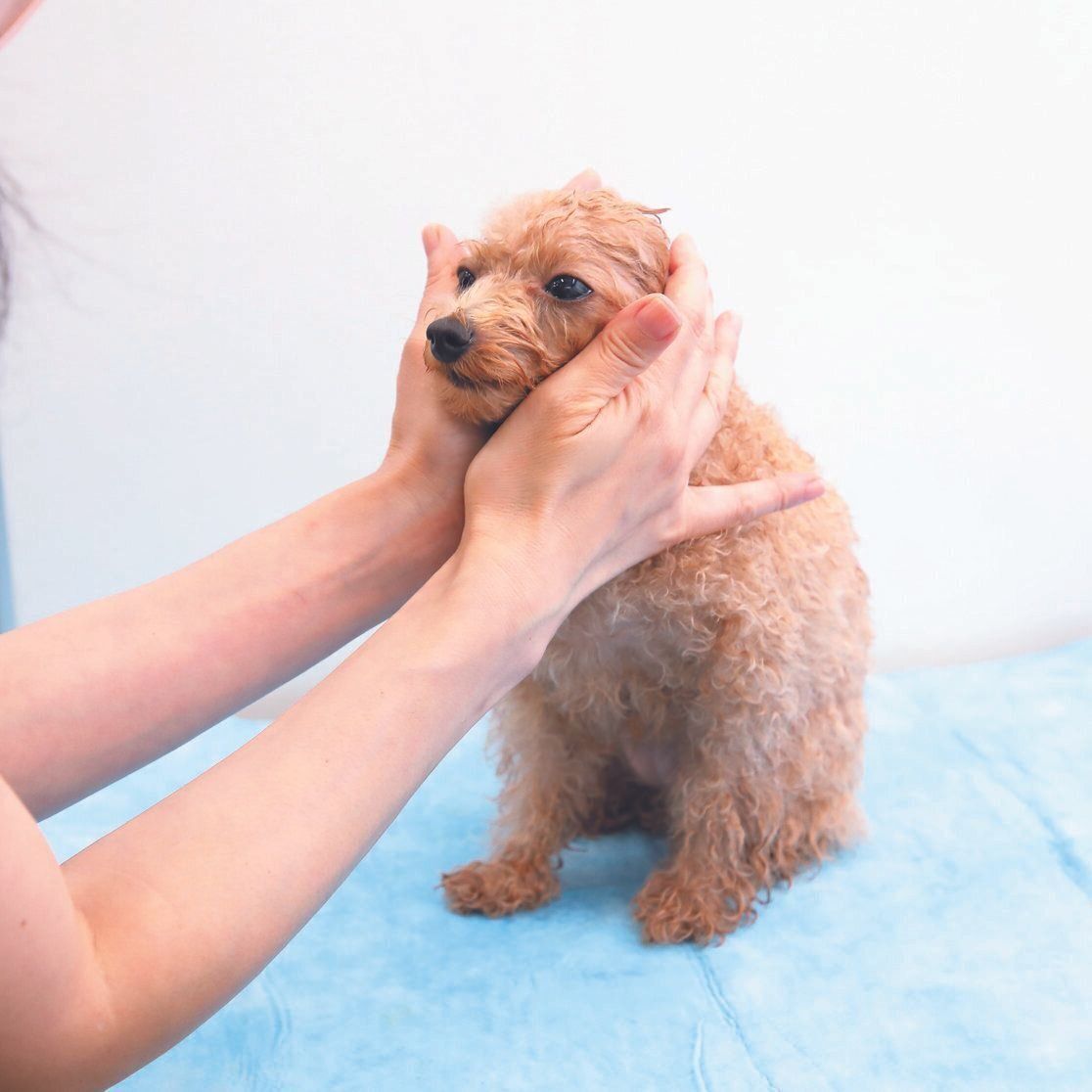 撮影／尾﨑たまき