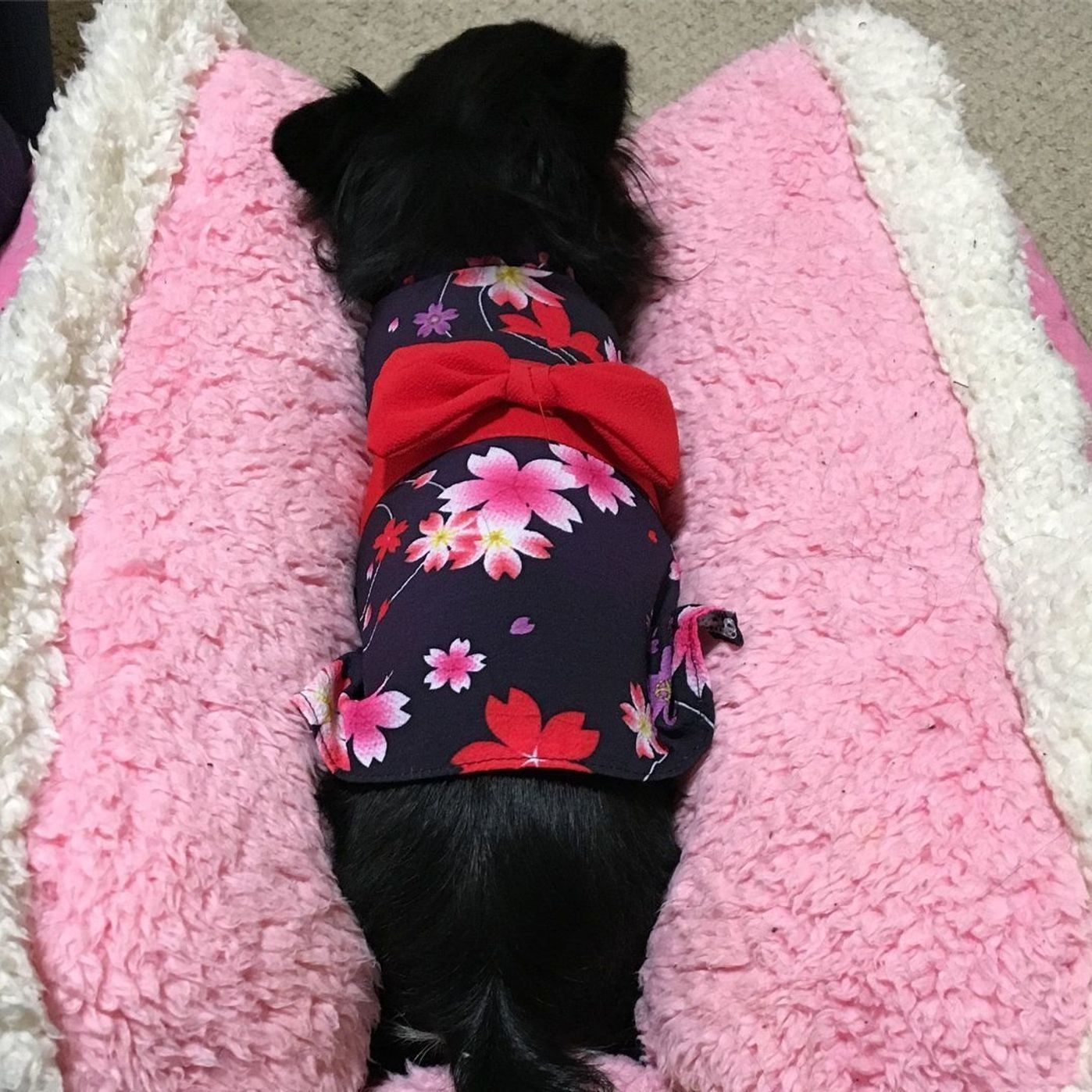 W Lkvldewsefmm W Lkvldewsefmm