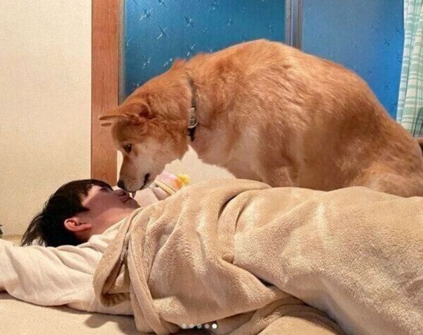 次男くんにかまっての圧をかける福くん