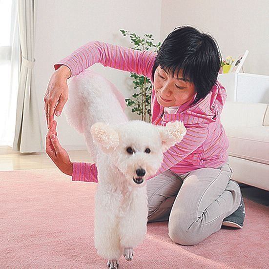 撮影／尾﨑たまき