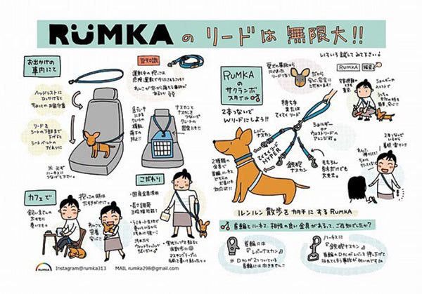 さくらんぼスタイルのリード