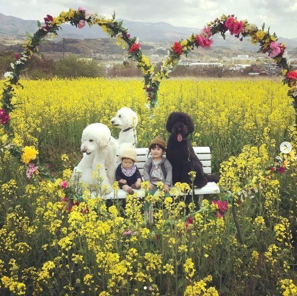 大集合するくぅさん・りっくん・がっくん・まめちゃん・むぎくん