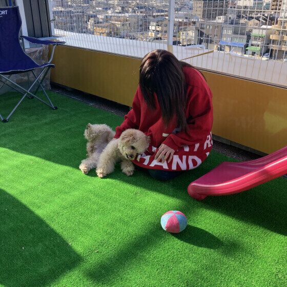 「もっとなでて♪ 」の行動がカワイイ！ 犬が頭をグリグリ押し付けてくる理由 いぬのきもち