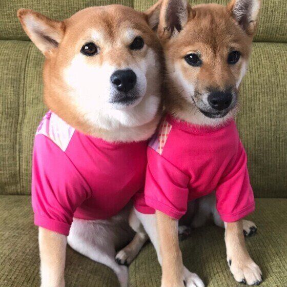 くっつきすぎでは？