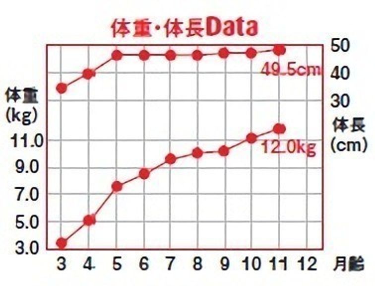 コーギーの標準体重や肥満防止法って みんなの愛犬の体重も公開 いぬのきもちweb Magazine コーギーの標準体重や肥満防止法って みんなの愛犬の体重も公開 いぬのきもちweb Magazine