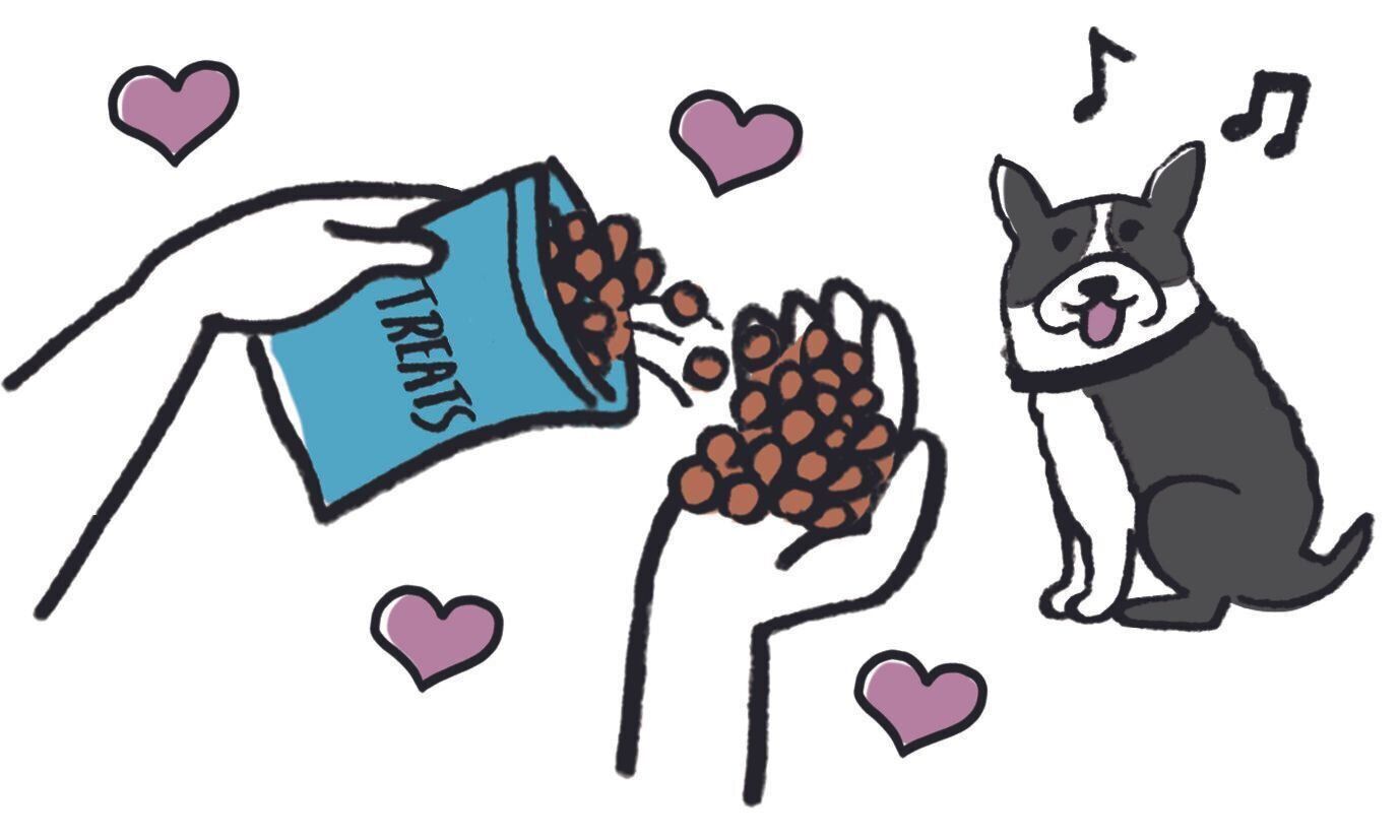 欲しがるからとむやみやたらにおやつを与えると太る一方。おやつを与える場面や量について、飼い主さんがきちんと決めてルールづくりを