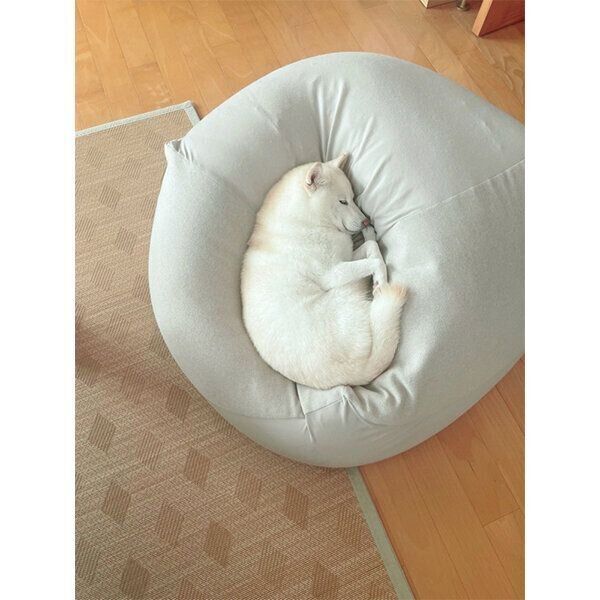 くつろぐゆきちゃん